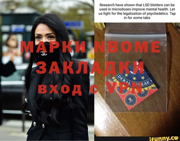 хмурый Абаза