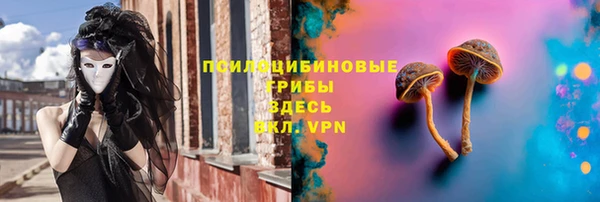 индика Алзамай