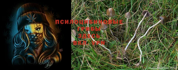 меф Абдулино