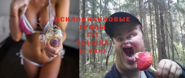 хмурый Абаза